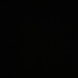 Meet your Posher, Jake